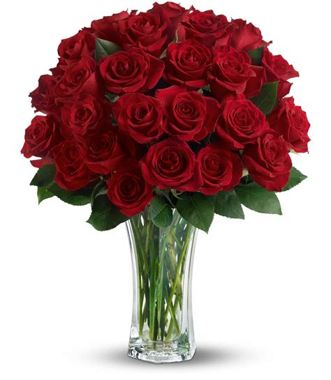 Love and Devotion - Long Stemmed Red Roses in Fullerton, CA | Flower Allie