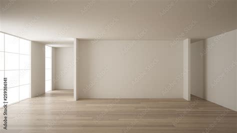 Empty room interior design, open space with white walls, modern style ...