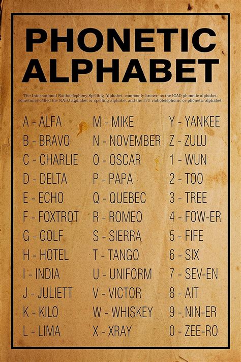 Amazon Com Nato Phonetic Alphabet Educational Laminated Poster | My XXX Hot Girl