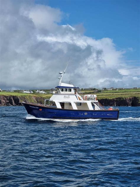 Our Tours - DingleDolphin.com