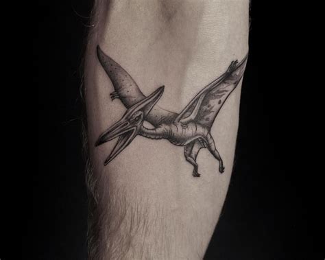 #Pterodactyl #dinosaur tattoo done by @pinkthroat | Dinosaur tattoos ...