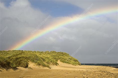 Rainbow over sand dunes - Stock Image - E135/0173 - Science Photo Library