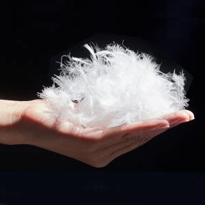 6cm White Duck Feather - Professional Down & Feather Manufacturing