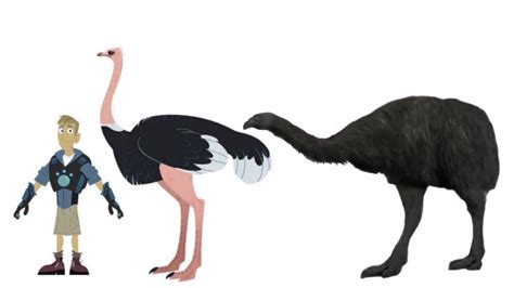 Giant Moa Size Comparison by Bvega41 on DeviantArt