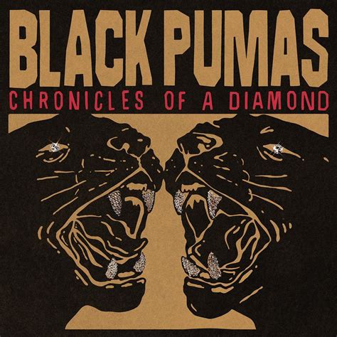 Black Pumas - 'Chronicles of a Diamond': how 21st century soul should sound