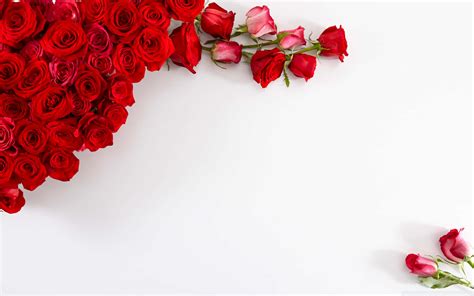 Download Valentine's Day Roses Wallpaper | Wallpapers.com