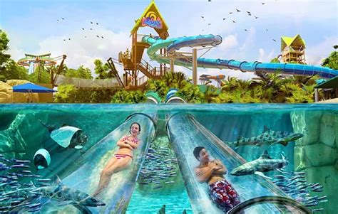 Aquatica, Orlando Florida: SeaWorld's Water Park