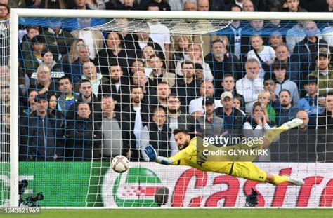 1,211 Hugo Lloris Save Stock Photos, High-Res Pictures, and Images ...