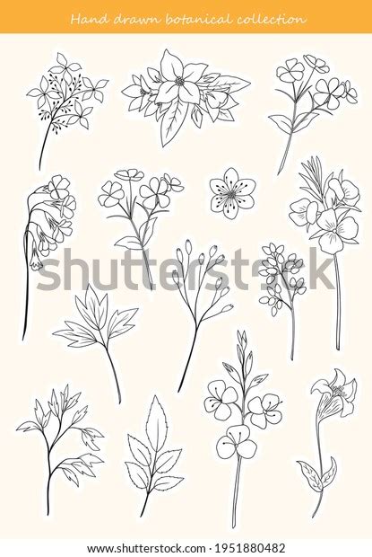 Collection Hand Drawn Flowers Branches Printable Stock Vector (Royalty Free) 1951880482 ...