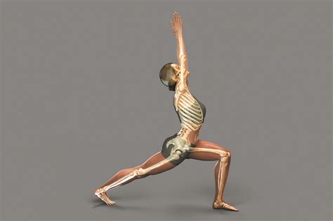 Yes...Yoga Can Make Your Bones Strong | Bottom Line Inc