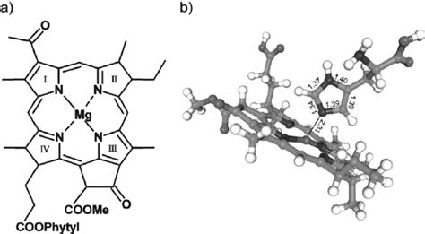 (a) Schematic representation of the bacteriochlorophyll- a structure.... | Download Scientific ...