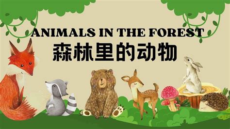 【森林里的动物Animals in the Forest】 狐狸🦊 松鼠🐿️ 熊🐻 臭鼬🦨 Chinese Vocabulary ...