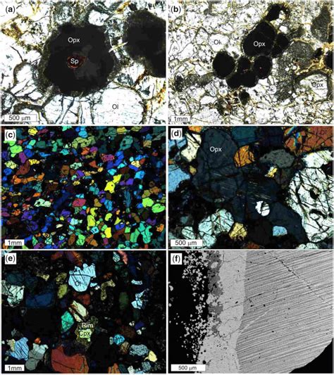 (a) Lherzolite AK1023A in plane-polarized light (PPL); (b) PPL image of ...