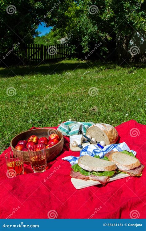 Picnic stock image. Image of blueberries, delicious, beverage - 55461151