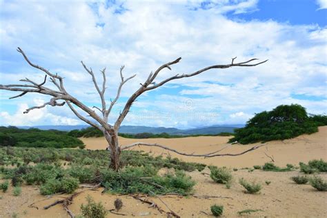 Medanos del Coro stock image. Image of calmness, waves - 39708969