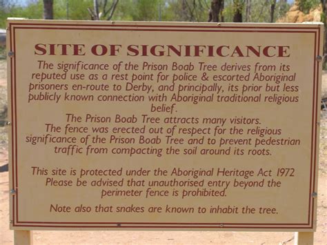 Prison Boab Tree - Derby WA @ ExplorOz Places