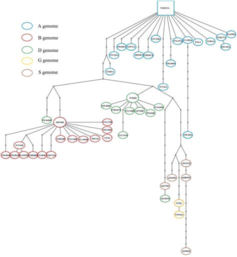 Abbreviations of species names are listed in Table 1. Haplotypes in the ...