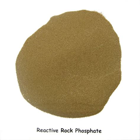 Reactive rock phosphate fertiliser – Superphosphate – Te Ara ...