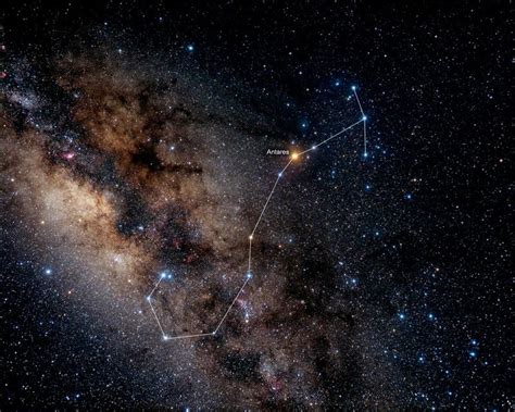 The constellation of Scorpius looks like a giant coat hanger hook with ...