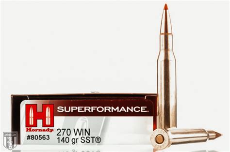 Best 270 Ammo for Hunting Recommended by Experts at Ammo.com