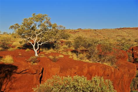 Bushwalk in Australia's outback - Global Medical Staffing Blog