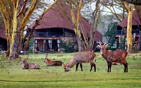 Lake Naivasha Sopa Lodge, Lake Naivasha, Kenya - 2023 / 2024