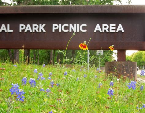 Houston Parks in Pics: Memorial Park Picnic Area