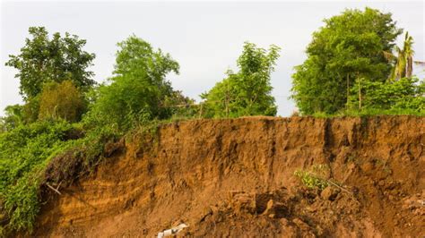 The Horrifying Environmental Impacts of Worsening Erosion