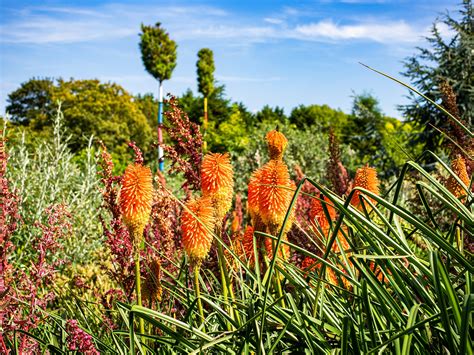 Visit | Lullingstone Castle & The World Garden - Historic Houses ...