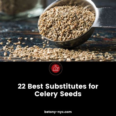 22 Best Substitutes for Celery Seed - Betony