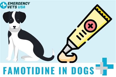 Famotidine For Dogs