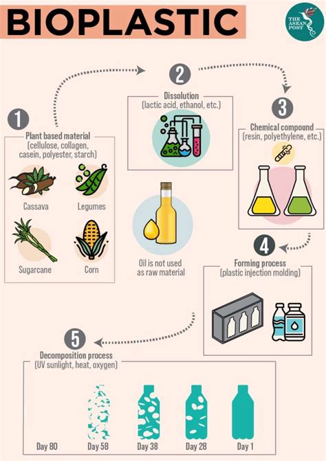 What is Biodegradable Packaging? - Softback Travel