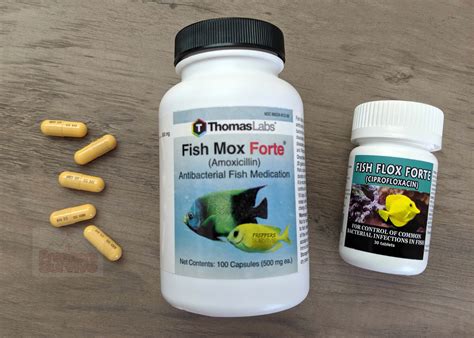 Prepper fish antibiotics - Three companies that sell them...