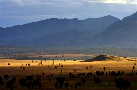 Kidepo Valley National Park meaning -uganda parks , uganda safari