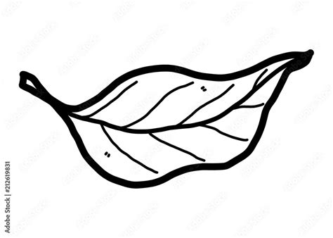 leaf / cartoon vector and illustration, black and white, hand drawn ...