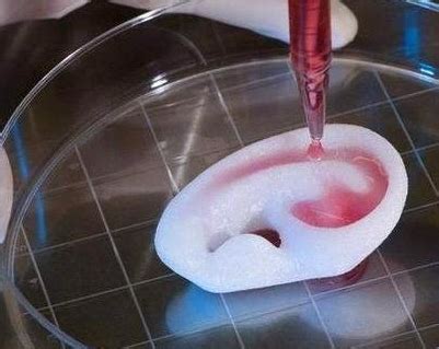 Novel Material ‘Celleron’ Could Revolutionize 3D Bioprinting for Regenerative Medicine - Open ...
