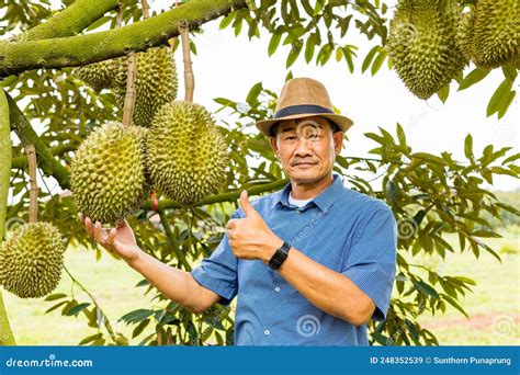 Durian Farmer with Durian Fruit on the Farm Stock Image - Image of ...