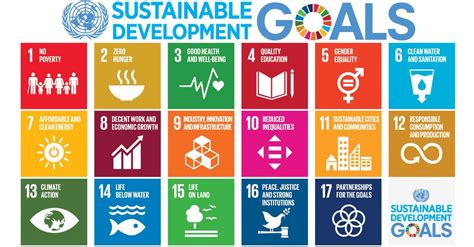 E-government a powerful tool to implement global sustainability goals, UN survey finds | UN News