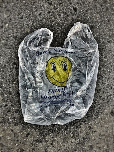 Discarded plastic bag - Stock Image - C056/7846 - Science Photo Library