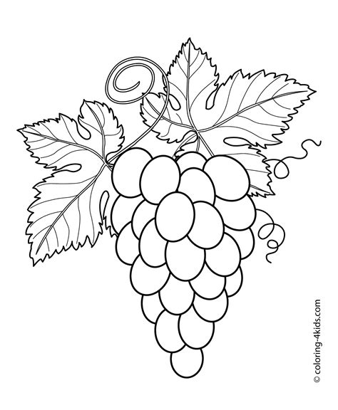 Grapes with leaves fruits and berries coloring pages for kids, printable free | Leaf coloring ...