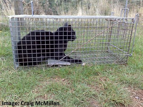 NATSOP-CAT002 National Standard Operating Procedure: Trapping of feral cats using cage traps ...