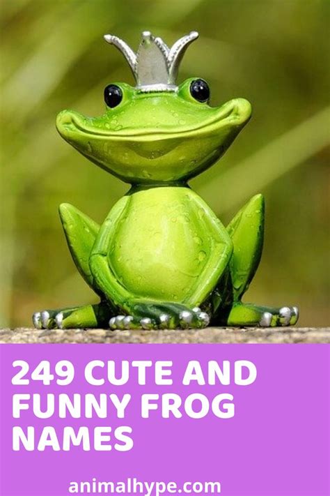 249 Cute and Funny Pet Frog Names | Pet frogs, Frog, Funny frogs