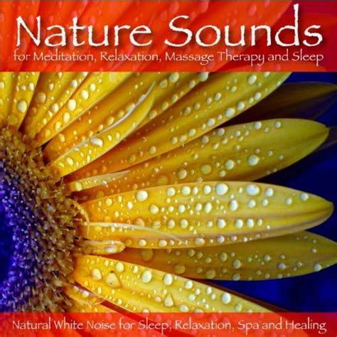 Amazon.com: Nature Sounds for Meditation, Relaxation, Massage Therapy ...