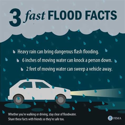 A graphic titled 3 Fast Flood Facts, showing a rainy scene with a car driving with its ...