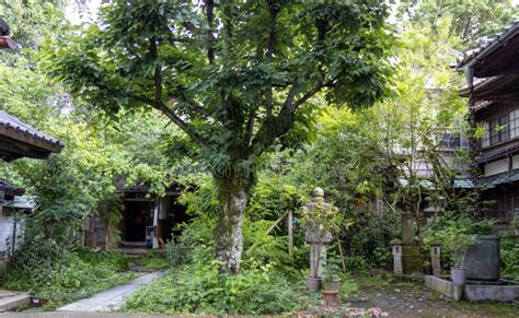 Derelict Abandoned Buddhist Temple, Kanazawa, Japan Stock Image - Image ...