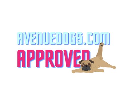 Enalapril for Dogs: Vet-Approved for Heart Health & Blood Flow - Avenue ...