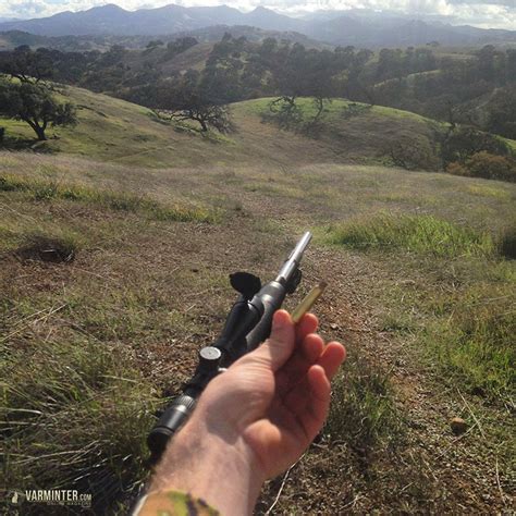 Hunting California Bobcat with my AR15 - AR15 Hunter