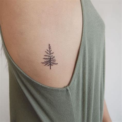 I love the idea of an evergreen tattoo as a symbol of something that remains strong throughout ...