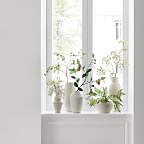 Faux Queen Anne's Lace Stem Arrangement in Villa White Jug Ceramic Vase 17" + Reviews | Crate ...