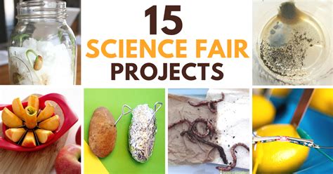 15 FUN Elementary Science Fair Projects - The Homeschool Resource Room